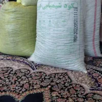 کشمش افتابی|خوردنی و آشامیدنی|ایوان, |دیوار