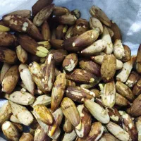 حیوانات|حیوانات مزرعه|دهدشت, |دیوار