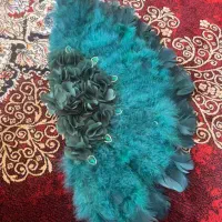 وسایل عروسی|حراج|تبریز, |دیوار