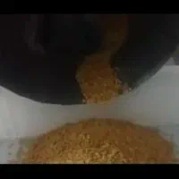 کار در کارخانه بادام زمینی|استخدام صنعتی، فنی، مهندسی|سبزوار, پامنار|دیوار