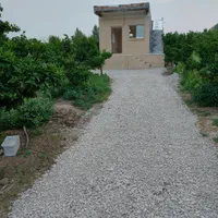 اجاره شبانه سوییت ۴۰ متری در باغ ۱۰۰۰ متری دربست|اجارهٔ کوتاه‌مدت آپارتمان و سوئیت|قائم‌شهر, |دیوار