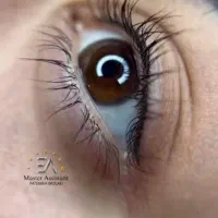 مدل برای تمام لایم های آرایش دائم|خدمات آرایشگری و زیبایی|زرند, |دیوار