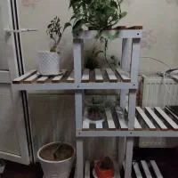 استندگل،