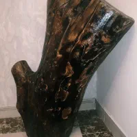 تنه درخت طبیعی زیبا  90 در 50|صنایع دستی و سایر لوازم تزئینی|تهران, ستارخان|دیوار