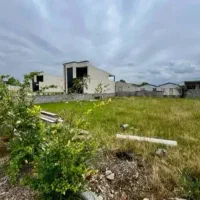 زمین-منطقه-برند-جنگلی-سندتک-برگ-شهرکی