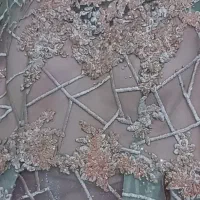 لباس مجلسی سنگدوزی|لباس|لاهیجان, گلستان|دیوار