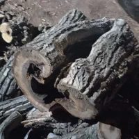 خرید انواع چوب ضایعات نوپان صنعتی|خدمات باغبانی و درختکاری|گلبهار, شهر جدید گلبهار|دیوار