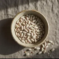 شرکت پخش حبوبات بسته بندی و فله