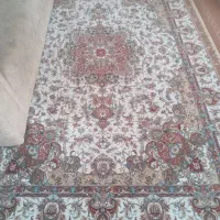 یک عدد 6 متری