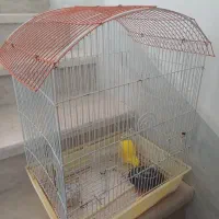 قفس بزرگ