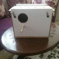 لانه عروس هلندی و طوطی برزیلی