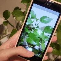 ایفونse 2020|موبایل|قم, جهان بینی|دیوار