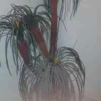 درختچه مصنوعی