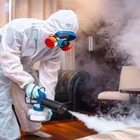 شرکت سم پاشی موریانه زدایی سمپاشی ساس سوسک گال موش