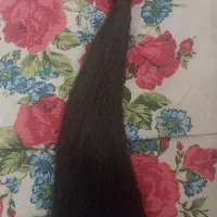 مو سالم