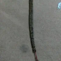 تسبیح هسته خرما