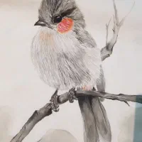 آموزش نقاشی روی پارچه|خدمات آموزشی|بندر انزلی, بی بی حوریه|دیوار