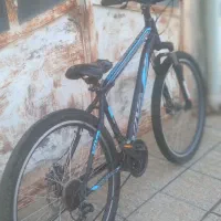 دوچرخه ویوا