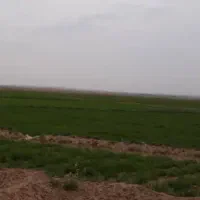 فروش-فوری-2000متر-زمین-روشن-دشت-روبرو-نمایشگاه