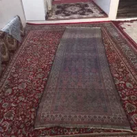 دو عدد فرش پشمی گوسفند دستبافت قدیمی|فرش|قم, شهرک فاطمیه|دیوار