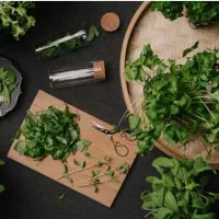 فروشنده خانوم