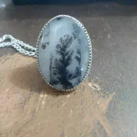 انگشتر شجر کلگسیونی