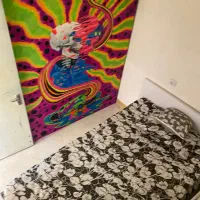 خونه ۵۰متری یک خواب|اجارهٔ کوتاه‌مدت آپارتمان و سوئیت|رشت, نظری|دیوار