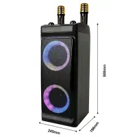 باند اسپیکر 4290 دو میکروفون وایرلس سوگلی گلشهر