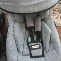 کالسکه وکریر دلیجان|کالسکه و لوازم جانبی|همدان, |دیوار