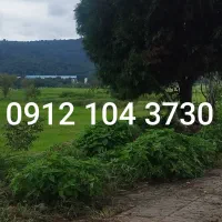 کد یک رند