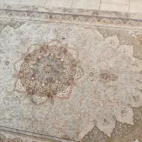 فرش ۶ متری|فرش|کرمان, |دیوار