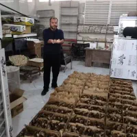 پخش فروش عمده اردک ،برهما، لهستانی،سلطان، گلپایگان