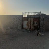 چهاردیواری ۲۵۰ متری روستای آمرزید آباد|فروش زمین و ملک کلنگی|اصفهان, قهجاورستان|دیوار