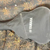 گیتار حرفه ای اکبند|گیتار، بیس، امپلیفایر|زاهدان, |دیوار