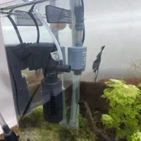 اکواریوم باهمەی تجهیزات|ماهی|پیرانشهر, |دیوار