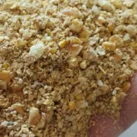 دان پارس استارتر جوجه مرغ بوقلمون گوشتی و تخم گذار