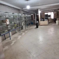 اجاره منزل و انبار