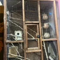 قفس چوبی بزرگ