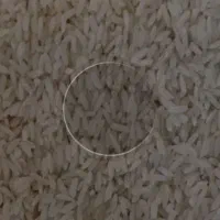 فروش برنج خوش عطر