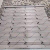 پرده زبرا