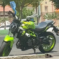 بنلی سبز جفت