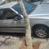 پژو پارس ساده، مدل ۱۳۸۵