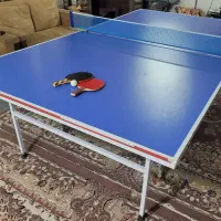 میز پینگ پونگ