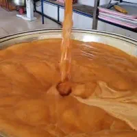 ابغوره /رب انار/شیره انگور /رب گوجه