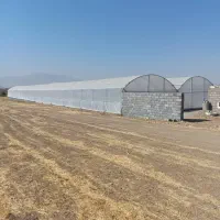 فروش یک واحد گلخانه نیمه صنعتی|فروش زمین و ملک کلنگی|دورود, |دیوار