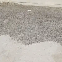 کود کبک|خدمات باغبانی و درختکاری|یزد, |دیوار