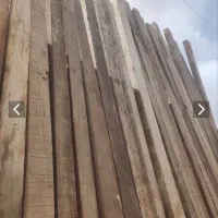 خرید فروش چوب مربا چندل خارجی