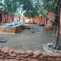 استخدام سر اشپز و اشپز