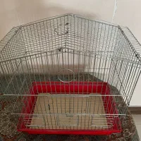 قفس فلزی پرنده|لوازم جانبی حیوانات|چالوس, |دیوار