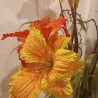مجسمه تابلو گلدان ودکوری|مجسمه، تندیس، ماکت|تهران, دروس|دیوار